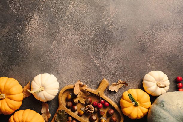 istock Autumn harvest photo featuring an array of pumpkins, pine cones, and berries on a rustic grey backdrop. Perfect for fall season design projects 2170158583
