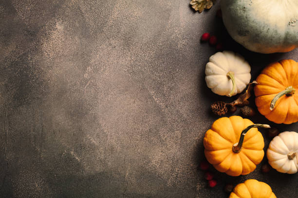 istock Autumn harvest pumpkins on dark background, perfect for fall season design elements, thanksgiving greetings cards. 2170158639