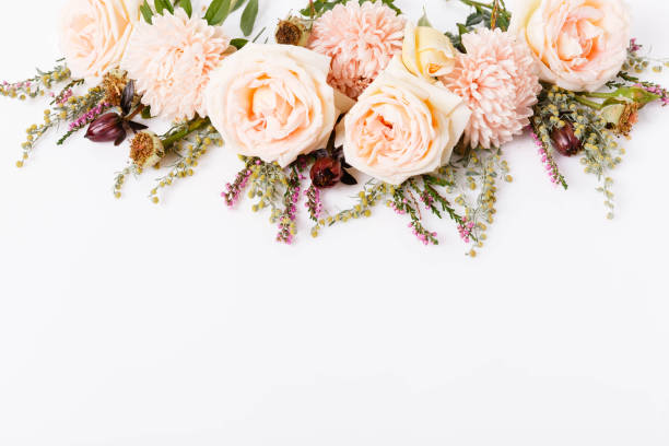 istock Autumn creative composition roses, asters coral flowers on white background. Fall, autumn wedding background. Flat lay, top view, copy space. 2170158710