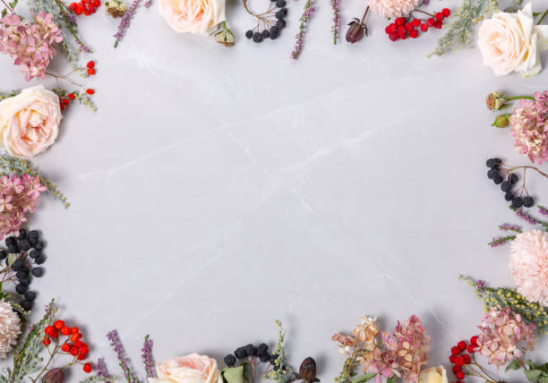 istock Autumn creative composition roses, asters coral flowers on gray background. Fall, autumn wedding background. Flat lay, top view, copy space. 2170158720