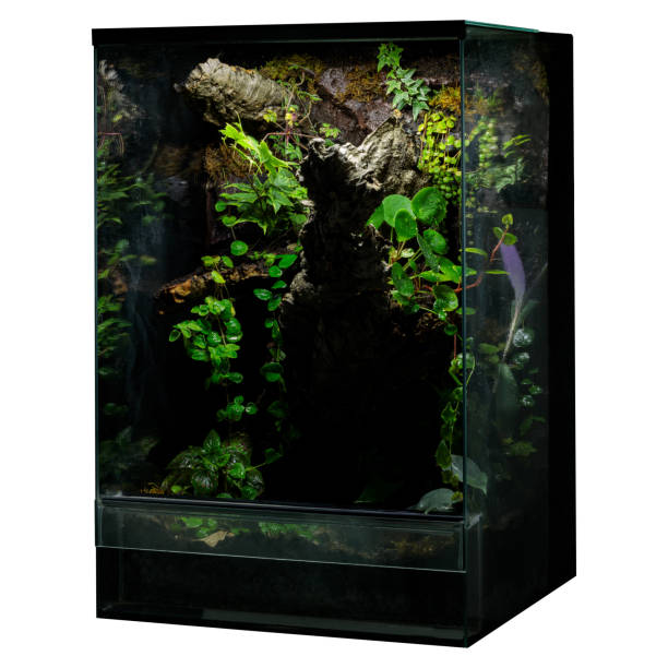 istock Lush Vertical Terrarium with Branch and Vines 2170159716
