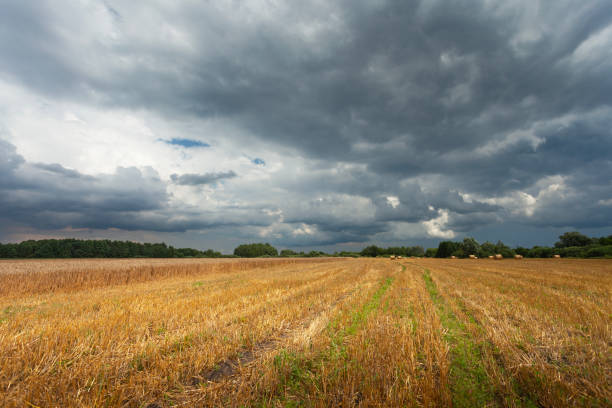 istock Dark storm clouds over a stubble field 2170159818