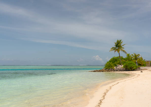 A sandy beach on a tropical island in the Maldives
