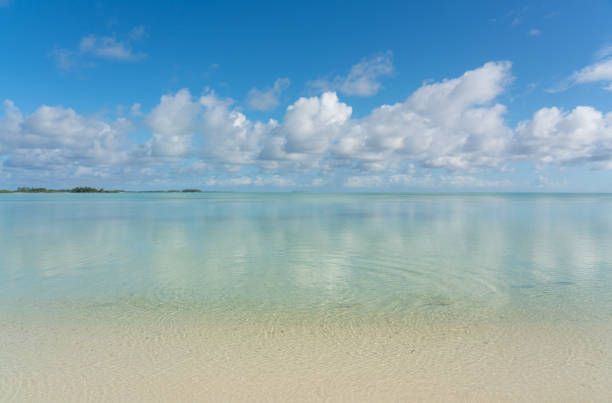 Cocos (Keeling) Islands: Located in the Indian Ocean, the Cocos  Islands Marine Park is a significant Australian Commonwealth reserve that encompasses a vast area of 467,054 square kilometres surrounding the remote atoll. Co-designed and managed with the local Cocos Malay community, the park protects a unique marine environment where species from the Indian and Pacific Oceans converge, resulting in a rich biodiversity that includes hybrid and endemic fish, such as the Cocos pygmy angelfish. The park's ecosystem supports coral reefs, critical seagrass habitats for a distinct green turtle population, and foraging grounds for thousands of seabirds that nest on North Keeling Island. This northernmost island and its surrounding waters are afforded a higher level of protection within the smaller, largely inaccessible Pulu Keeling National Park. The broader marine park is zoned to accommodate both strict conservation in a large offshore 'no-take' National Park Zone and sustainable recreational and subsistence activities in an inshore Habitat Protection Zone, balancing conservation with the cultural and economic needs of the islanders.