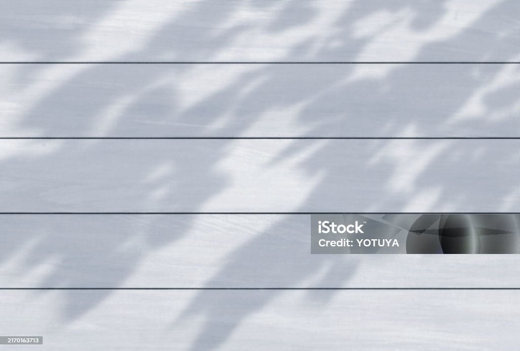 Tree Shadow Background Sharp Beautiful Tree Shadow Background Illustration Stock Illustration ...