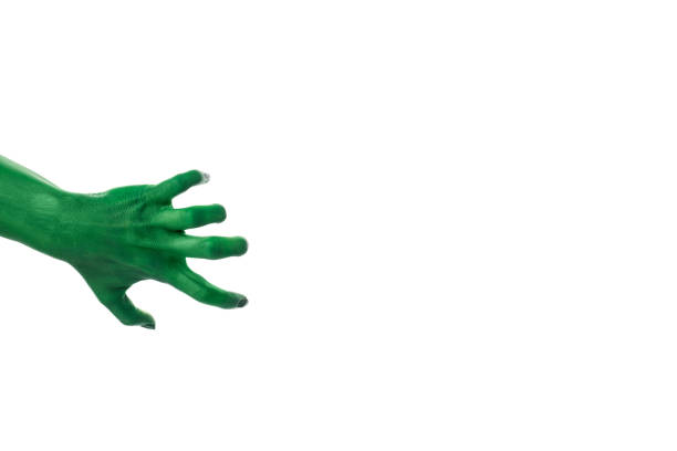 PNG green zombie hands isolated on white background.