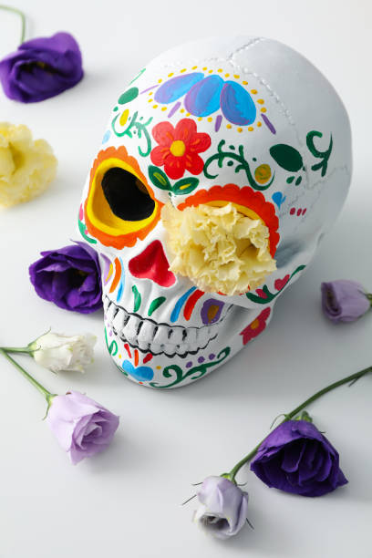 istock Mexican skull and flowers on white background, close up 2170169570