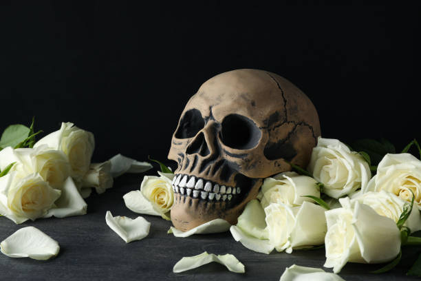 istock Skull and white roses on wooden table on black background 2170169660