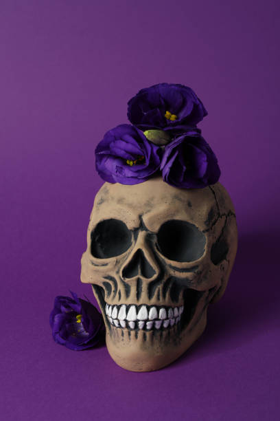 Mexican skull and flowers on purple background