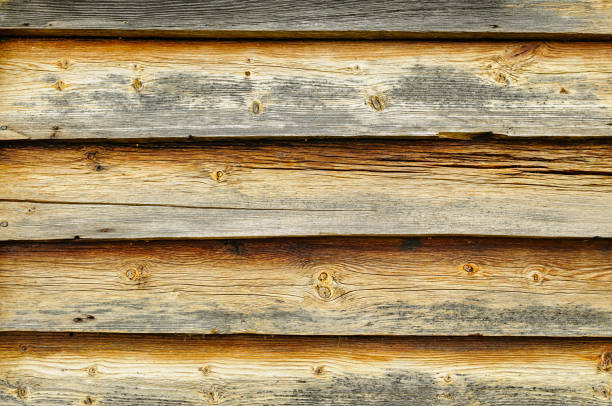 The aged wooden planks reveal stunning patterns and colors, reflecting the passage of time. The warm light of late afternoon enhances the rustic charm and natural beauty.