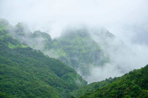 istock Misty landscape, Foggy winter day 2170180647