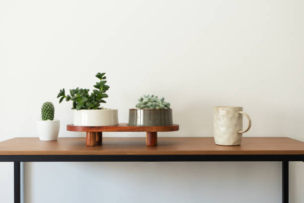 istock Ceramic mug for hot drinks and succulents potted plants on wooden table home interior 2170185290