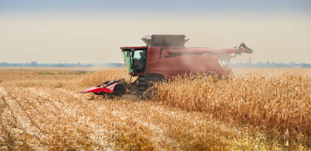 istock Harvest work. A modern combine harvester working a wheat field 2170188210