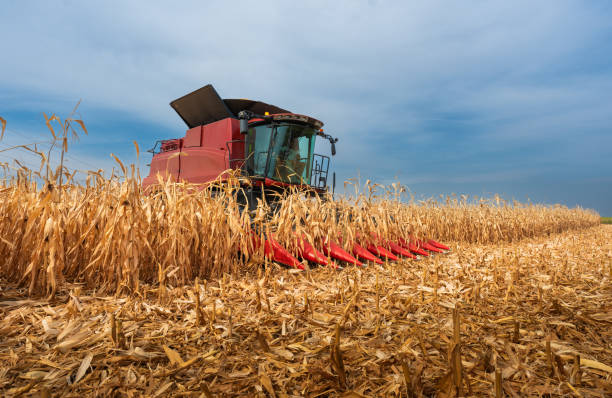 istock Harvest work. A modern combine harvester working a wheat field 2170188522