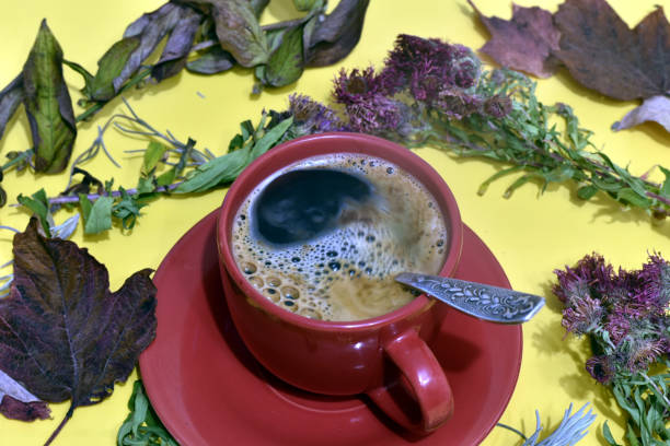 Two cups of coffee on an old tree stump that has a smiling expression. The cups are like eyes, and the tree stump already has a smile.