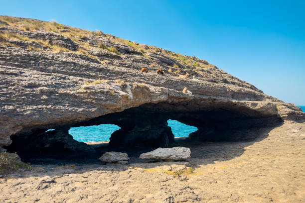 istock La Ojerada is a Natural arch in Cantabrian coastline, Spain. 2170195330