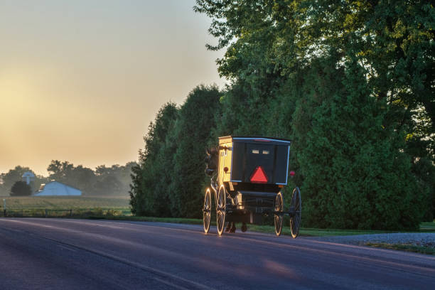 istock Amish Buggy Early Morning 2170196989