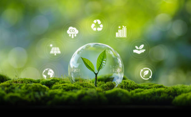 istock Environmental protection concept, bubble protects young trees and their growth 2170199824