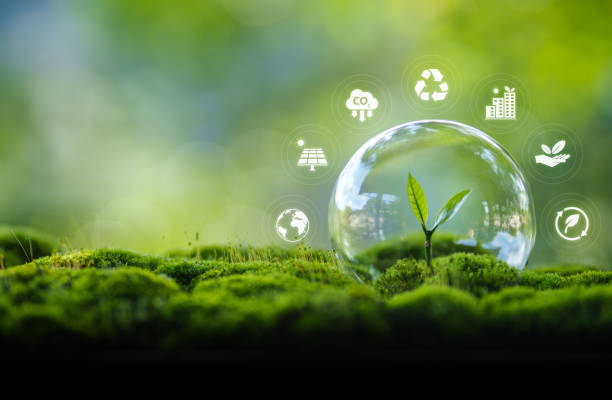 istock Environmental protection concept, bubble protects young trees and their growth 2170199838