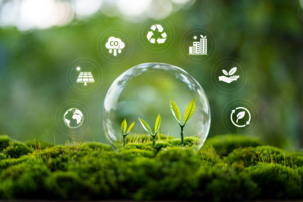 istock Environmental protection concept, bubble protects young trees and their growth 2170199866