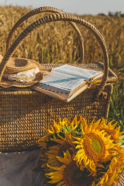 istock Open Bible, basket, hat and sunflowers, reading outdoors 2170202871