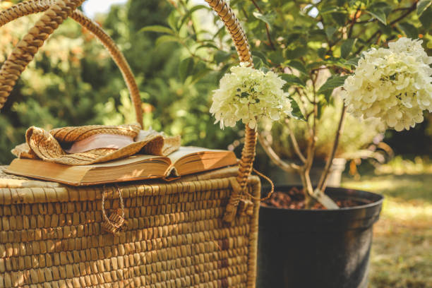 Wicker basket and hat, summer mood.