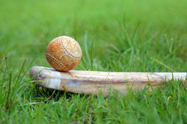 Cricket ball and cricket bat placed on glass floor with grass background. Soft and selective focus