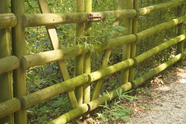 istock Wooden fence 2170210180