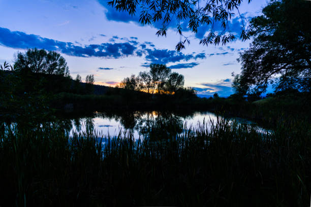 Blue Hour Reflections in Lake Pond Wetlands Area - Scenic post sunset views with silhouetted trees and warm tones in sky with reflections in water.