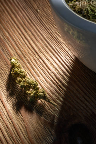 Close-up of a dry plant on a wooden surface, casting a shadow under natural light.