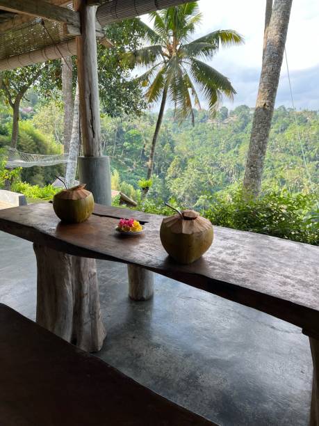 istock In the middle of Ubud jungle, Bali 2170213006