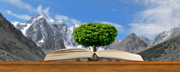 istock A Tree Growing From An Open Book In The Majestic Mountains 2170215590