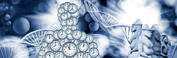 istock The Timeless Journey of Humanity Through Genetic Evolution 2170215596