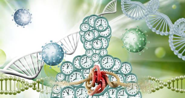 istock The Entangled Time of Viral Evolution and DNA 2170215650