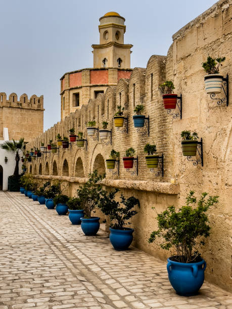 istock Afternoon view for Carthage land castle wall, Hammamet, Tunisia 2170215841