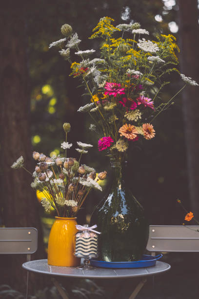 istock Flowers in the garden 2170222323