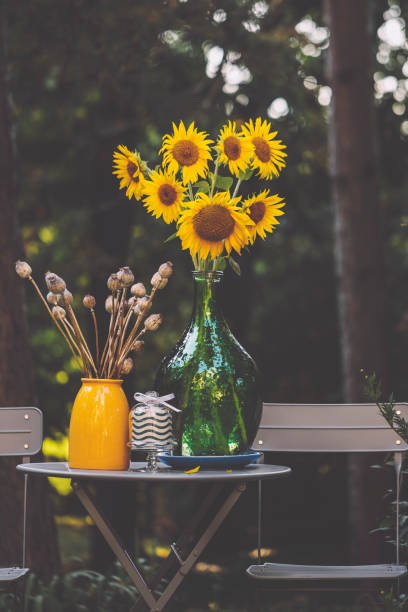 Flowers in the garden