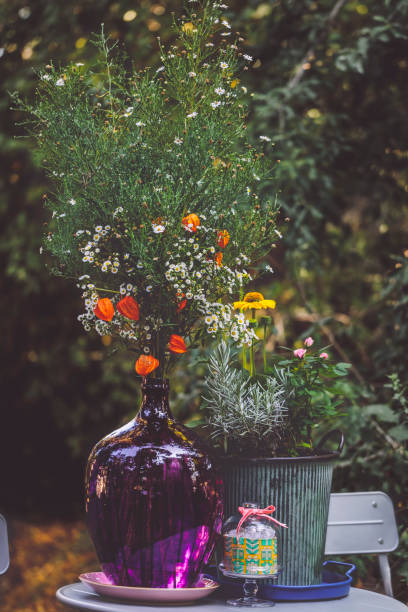 istock Flowers in the garden 2170222825