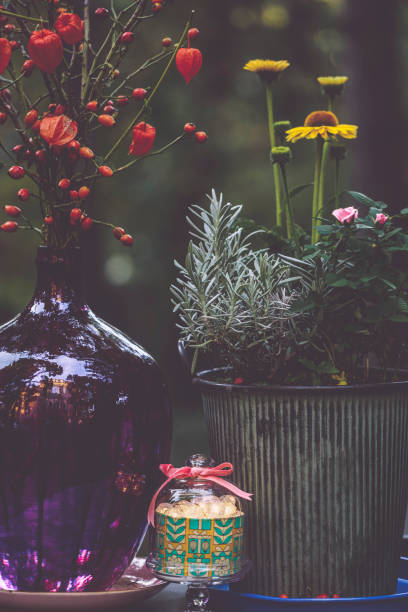istock Flowers in the garden 2170223163