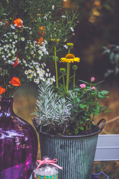 istock Flowers in the garden 2170223169