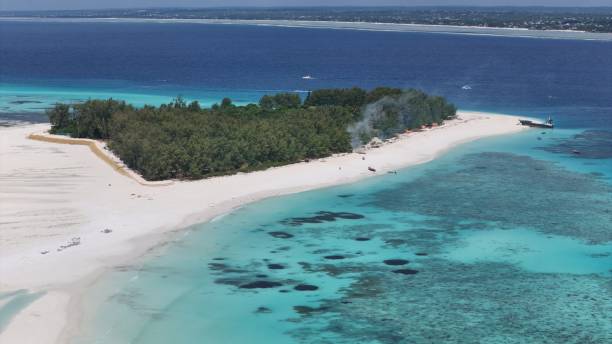 istock Mnemba island in zanzibar 2170224005
