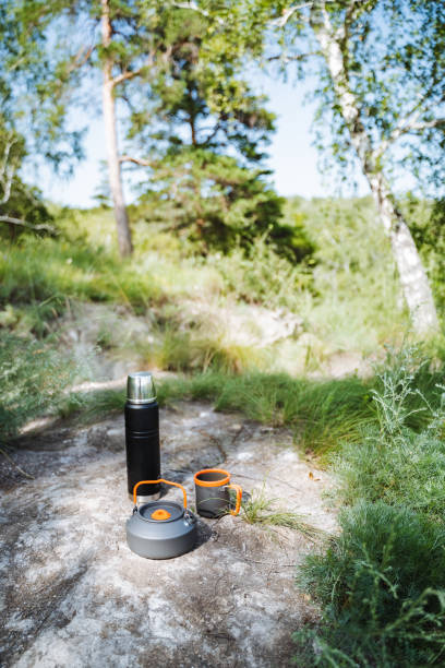 In the peaceful forest, a kettle and two cups are placed on a boulder, amidst the beauty of nature, fostering a serene ambiance. The landscape enhances the tranquility of the setting