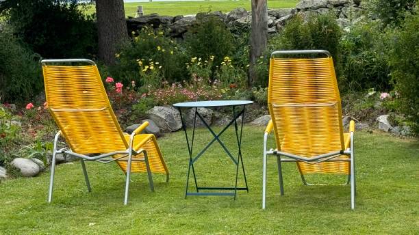 istock Two yellow Sun loungers and a small table on the lawn 2170227174