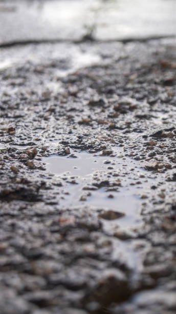istock Wet asphalt surface with small puddles. Asphalt in the rain 2170227474