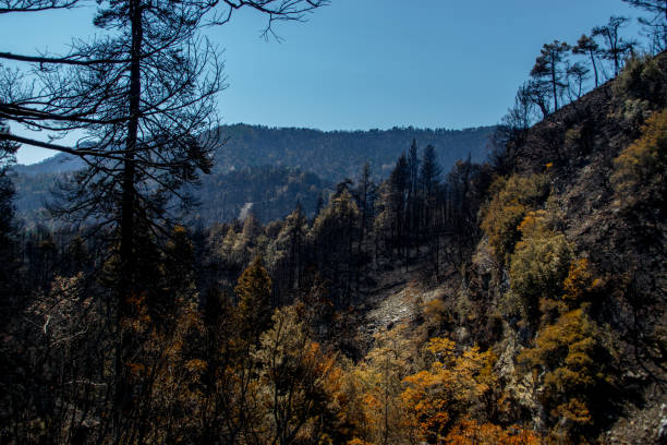 istock autumn in the mountains 2170228434