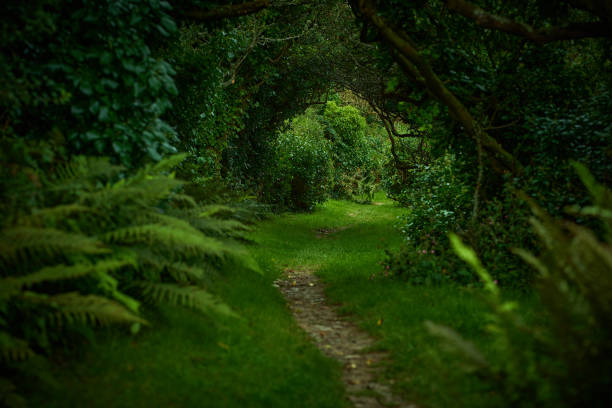 istock Garden Woolacombe, England, UK 2170228522