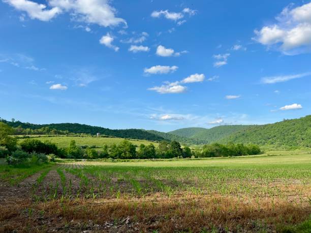 istock Farm in the Mountains 2170229952