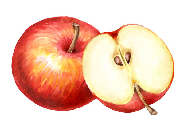 istock Red sweet Apples, Hand drawn watercolor illustration, isolated on white background 2170232580