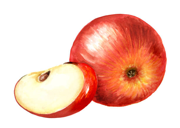istock Red sweet Apples. Hand drawn watercolor illustration,  isolated on white background 2170232728