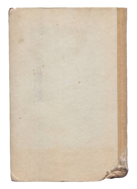 istock Vintage background of old ancient torn paper texture isolated 2170233887